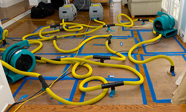 Professional Water Damage Restoration technician working in Union, ME